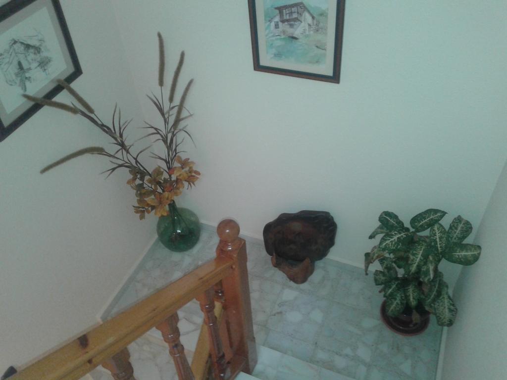 Twin Room,222536384:JPEG